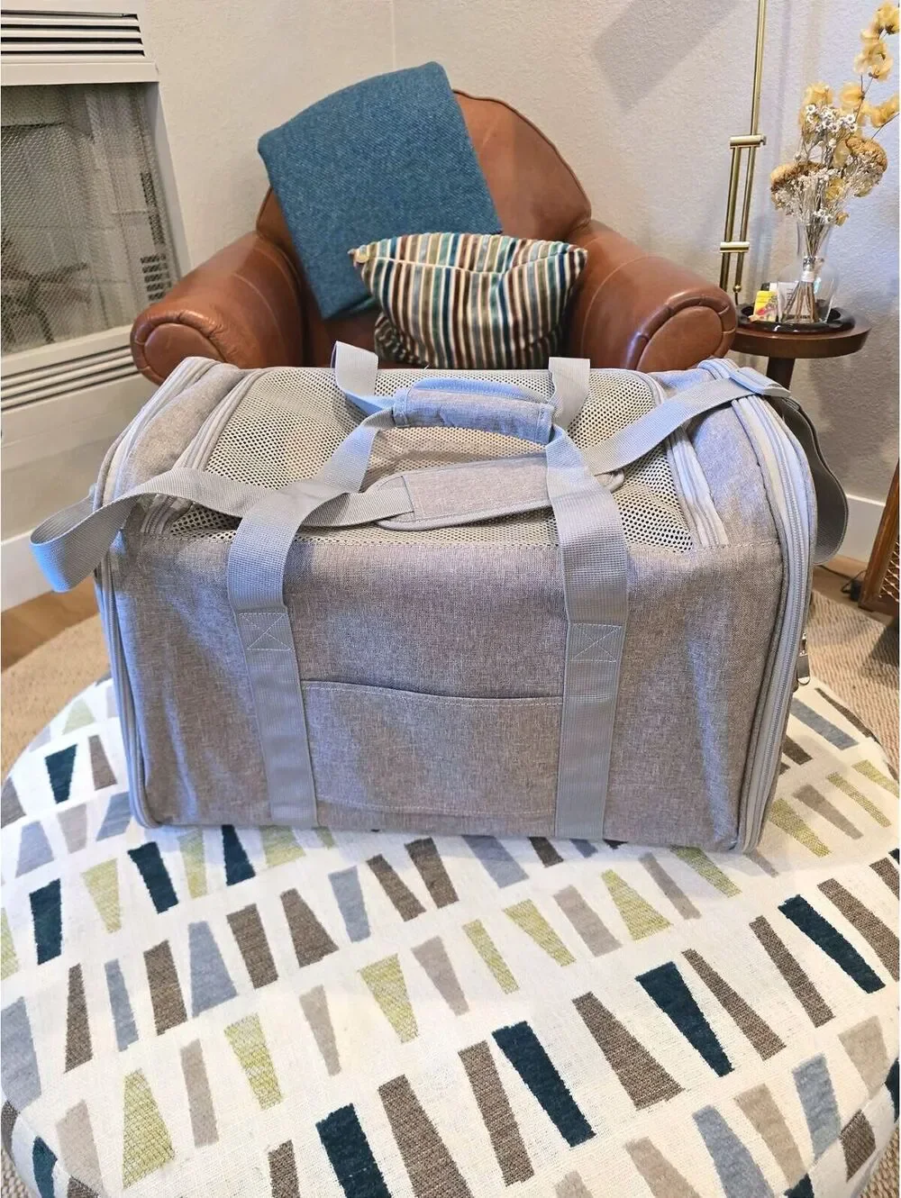 Pet Carrier for Small to Medium Pets - New